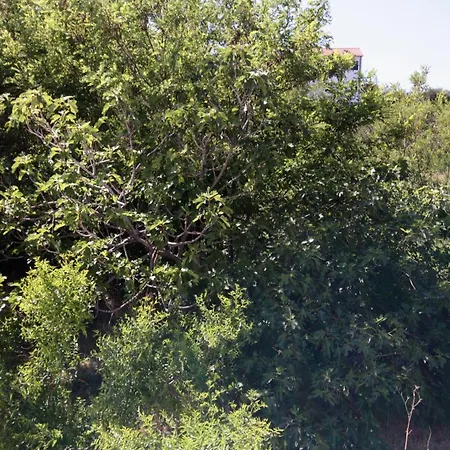 公寓 With Parking Space Palit, Rab - 4971 *